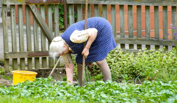 Oma bei der Gartenarbeit, Fünf Tipps für eine achtsame und gelungene Gartenarbeit