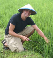 Reisfeld, Asienreise, Thailand, alleine Reisen