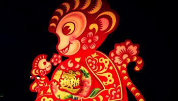 Dao, I-Ging, Lebensveränderung, Affe, chinesisches Neujahr